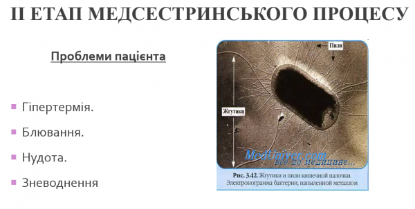 Book Page